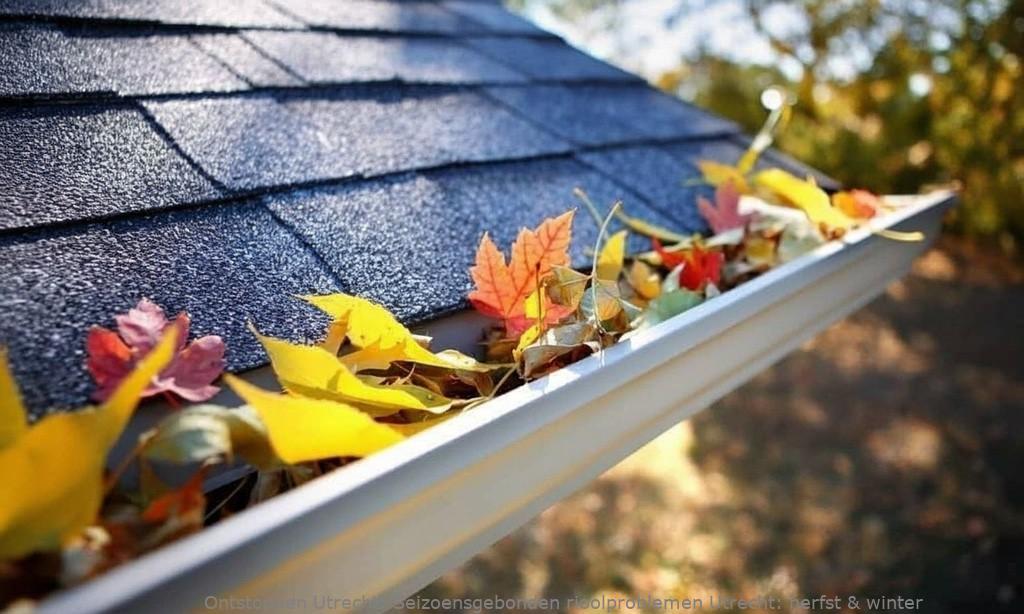 Seizoensgebonden rioolproblemen Utrecht: herfst & winter